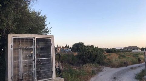 Foto 4 de Finca rústica en venta en Diseminado Tiata, 152, Tiata, Lorca