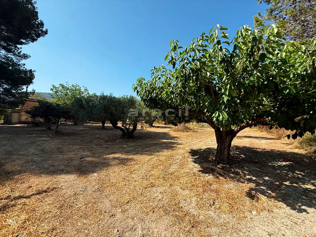 Finca rústica en venta en Bocairent con Piscina