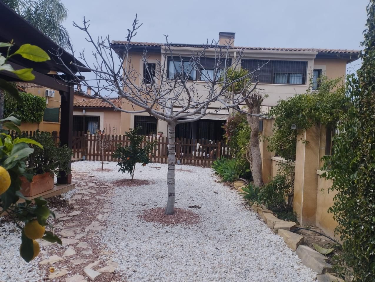 Jardí de Casa o xalet en venda en Alicante / Alacant amb Aire condicionat, Jardí privat i Terrassa