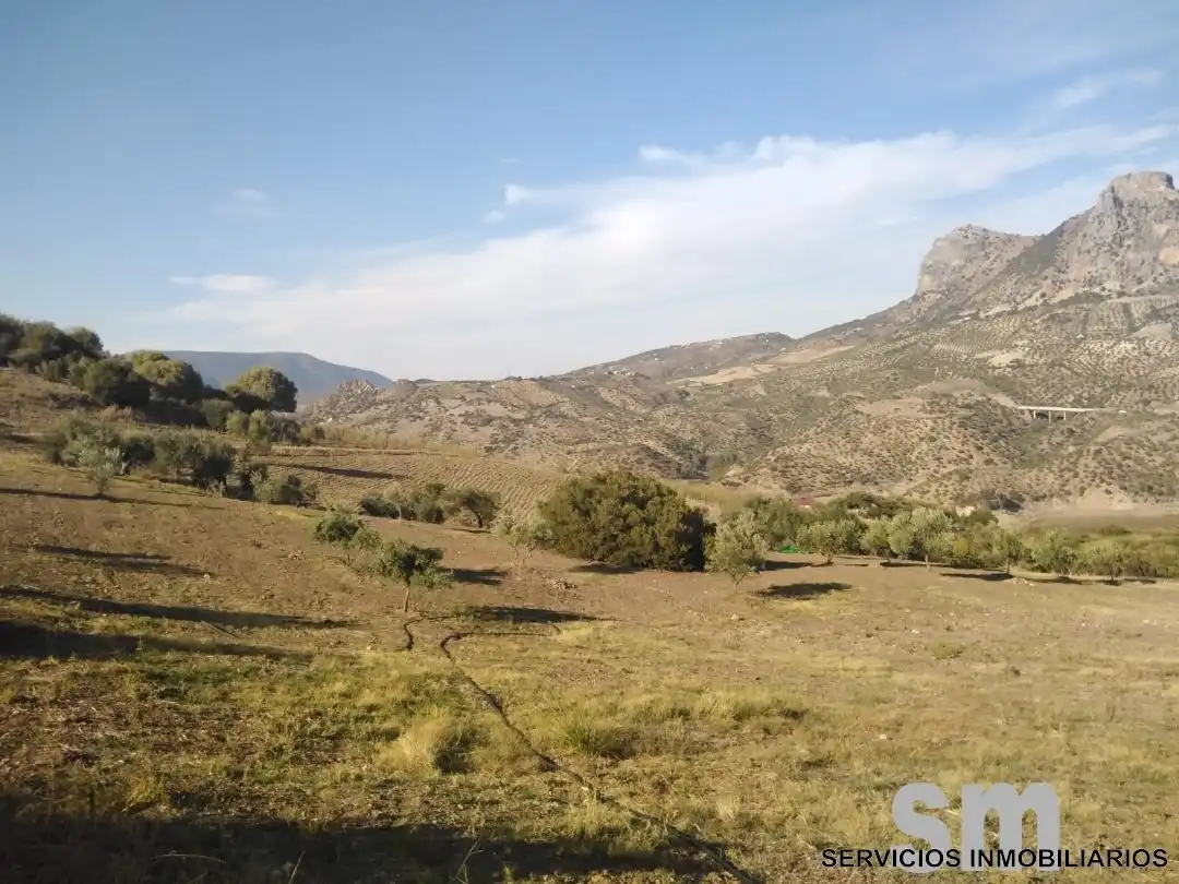 Terreno en venta en Zahara