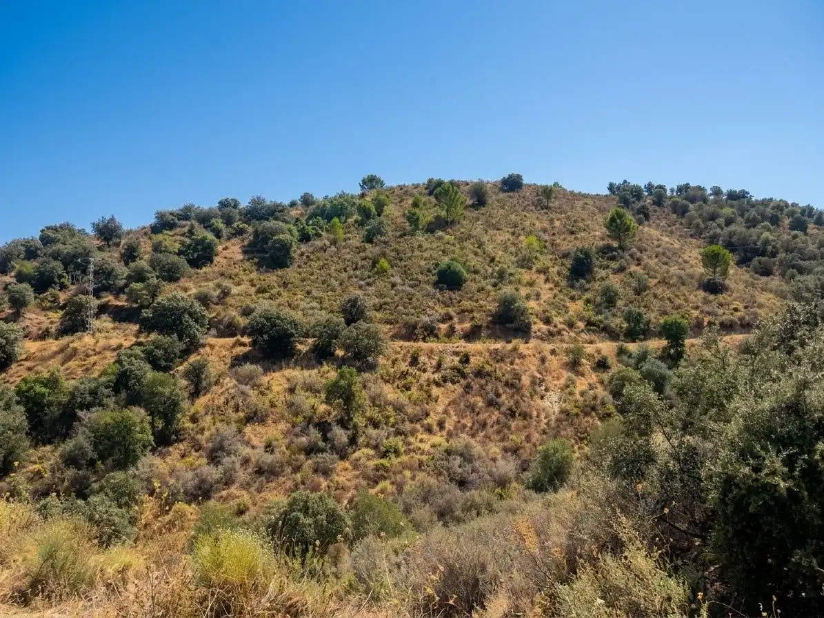 Terreno rustico in vendita a la cañada del castillo