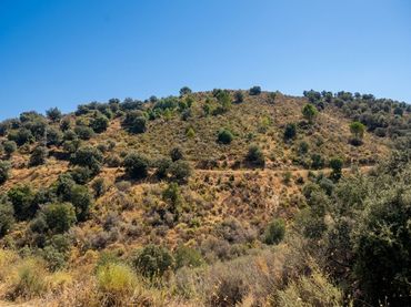 Terreny rústic en venda a la cañada del castillo