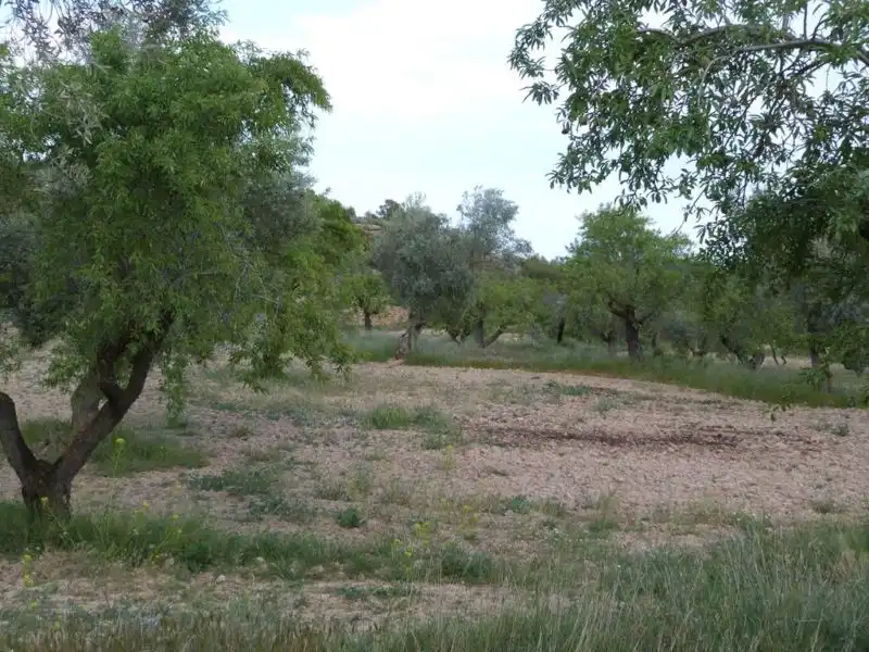 Country homes for sale in Valjunquera