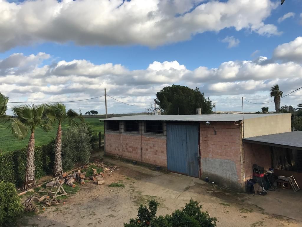 Vista exterior de Casa adosada en venta en Utrera con Jardín privado, Terraza y Alarma