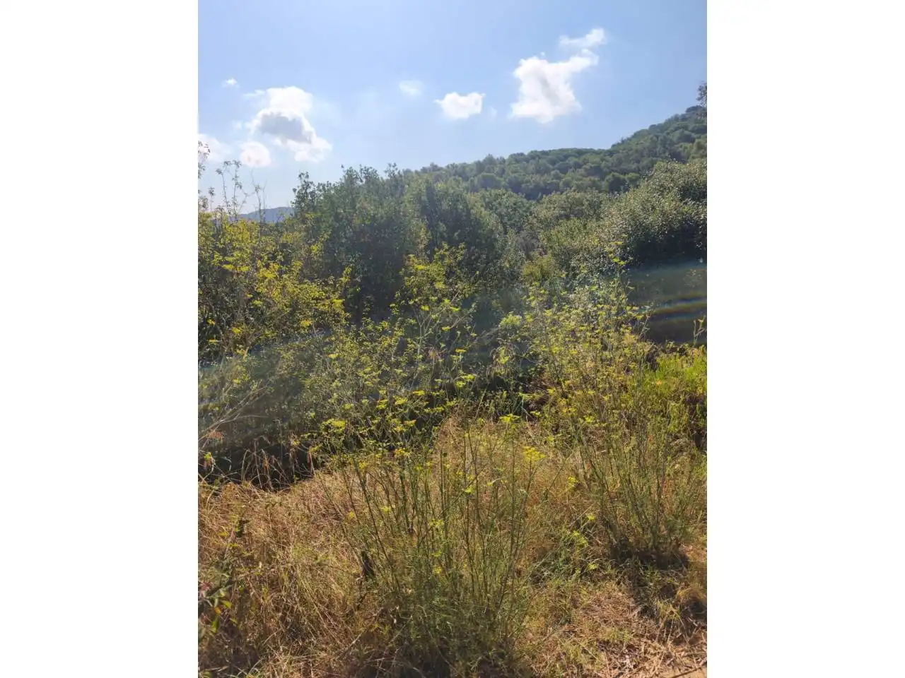 Residential land for sale in Calle Castanyers, imagen 3