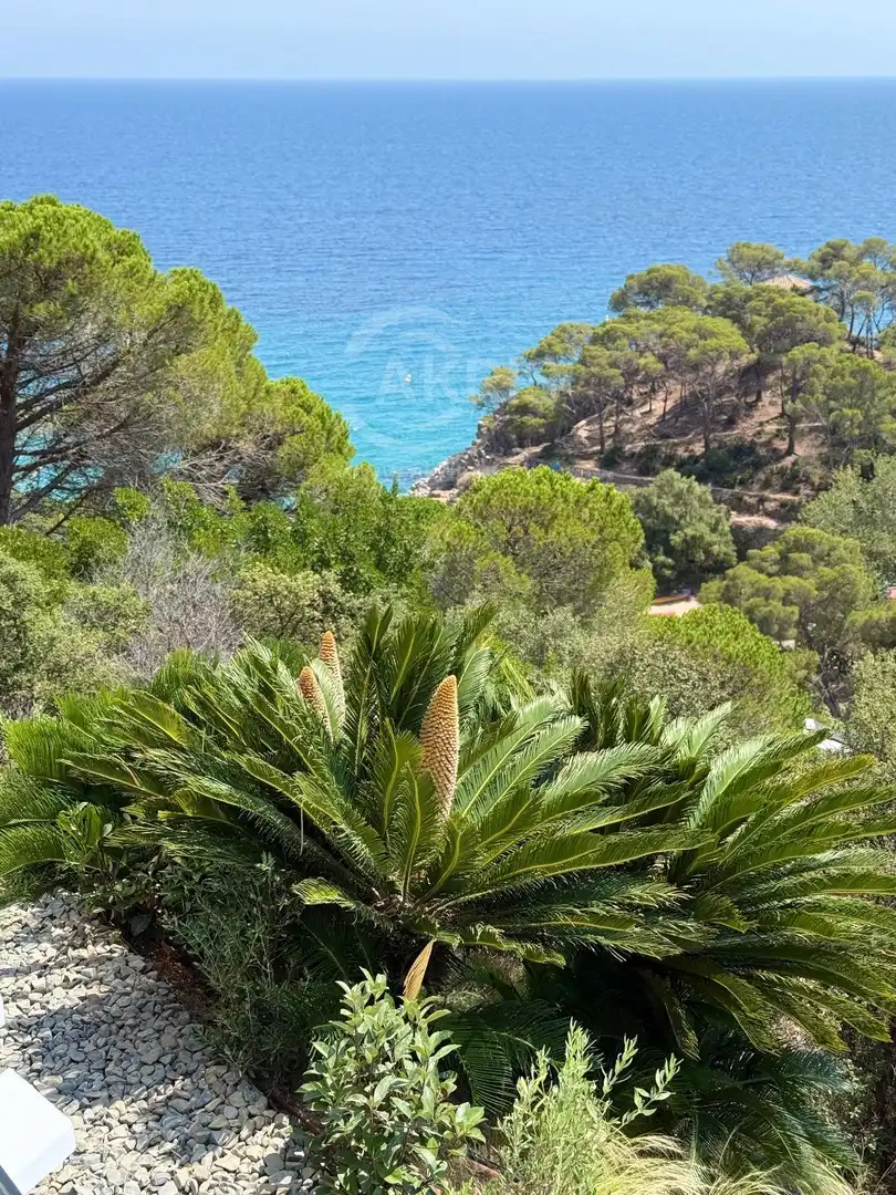 Xalet amb piscina en venda a Rosamar, imagen 59