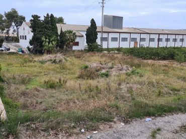 Terreni e lotti in vendita a Sueca ciudad