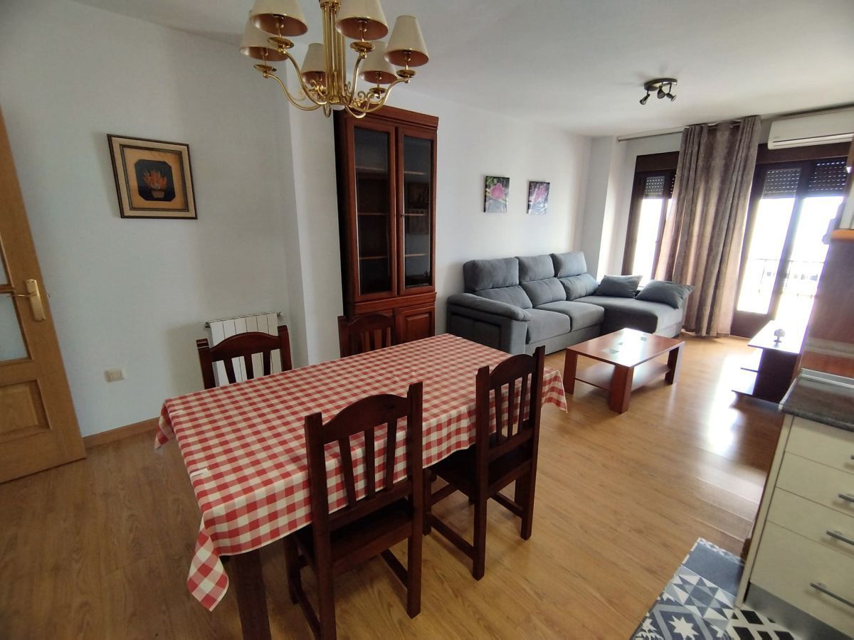 Sala d'estar de Pis en venda en Plasencia amb Aire condicionat i Calefacció