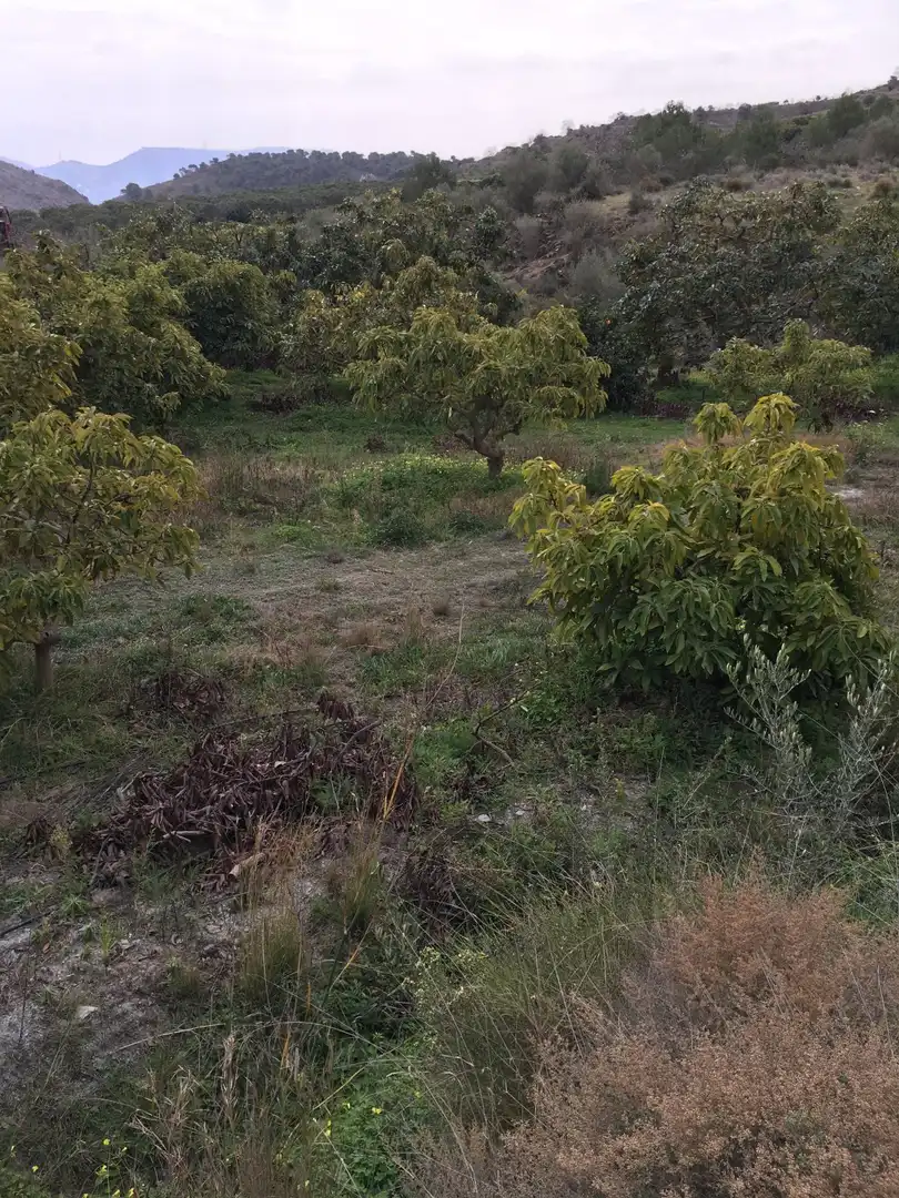 Terrenys i solars en venda a Molvízar, imagen 6