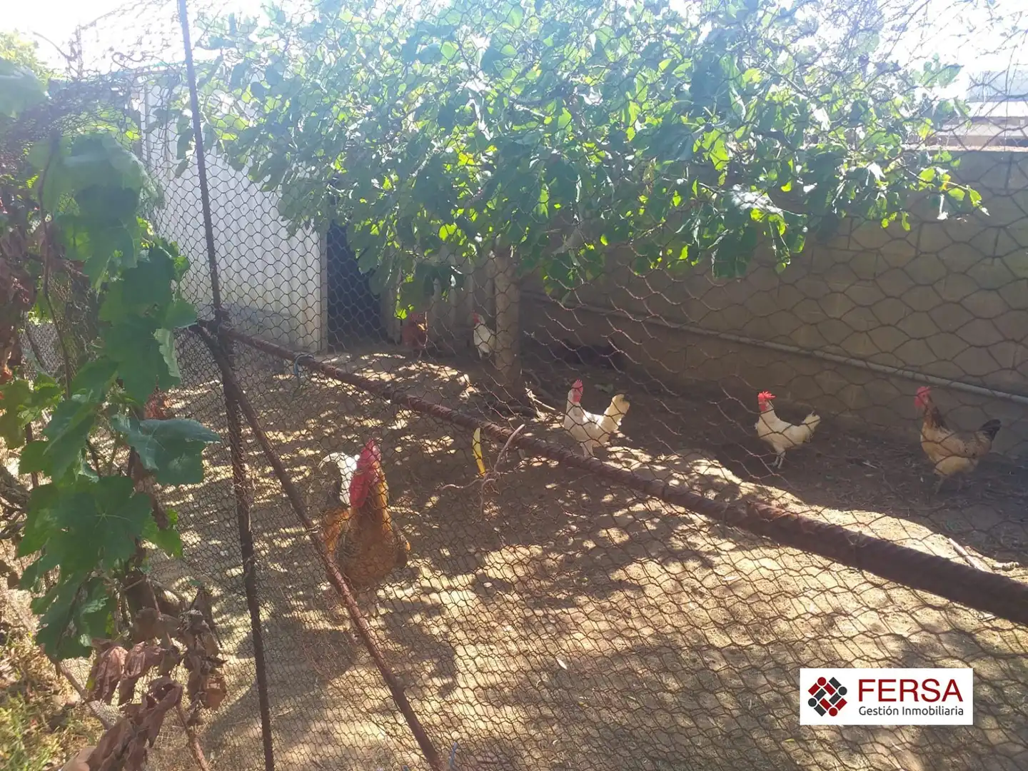 Jardí de Casa o xalet en venda en El Puerto de Santa María amb Aire condicionat, Calefacció i Jardí privat