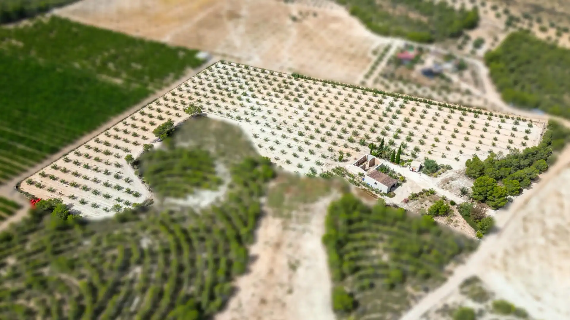 Casa o xalet en venda en Cieza