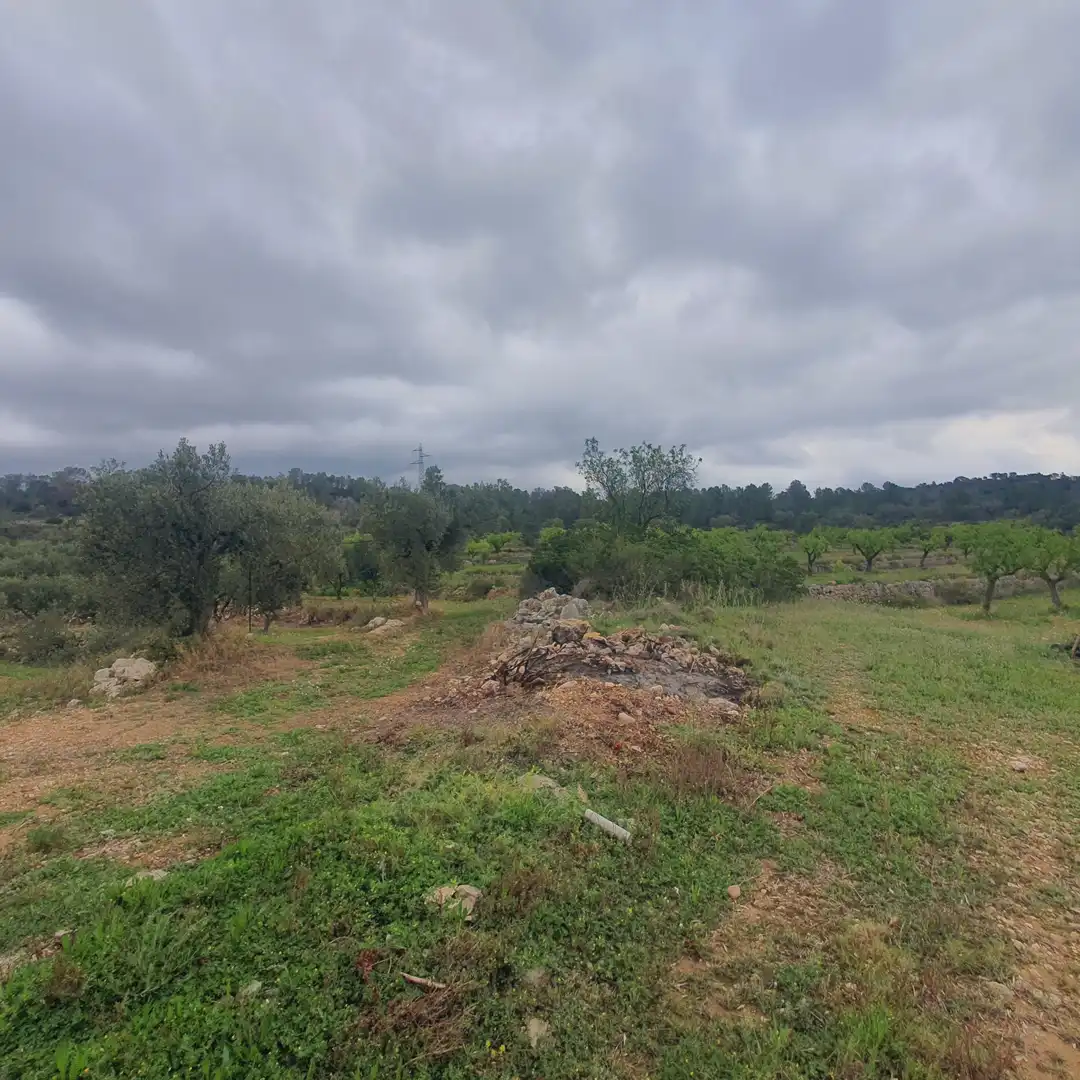 Rustikales Grundstück zum Verkauf in El Pinell de Brai