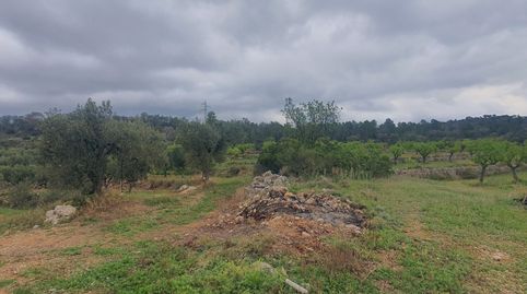 Suelo agrícola en venta en El Pinell de Brai
