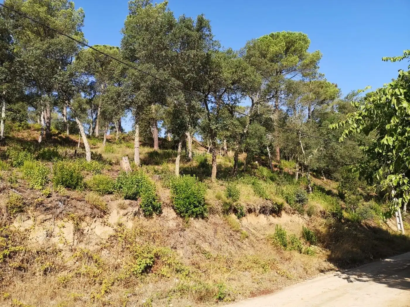 Residential land for sale in Urbanitzacio Sant Roc 23, imagen 2