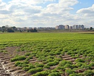 Land for sale in  Valencia Capital