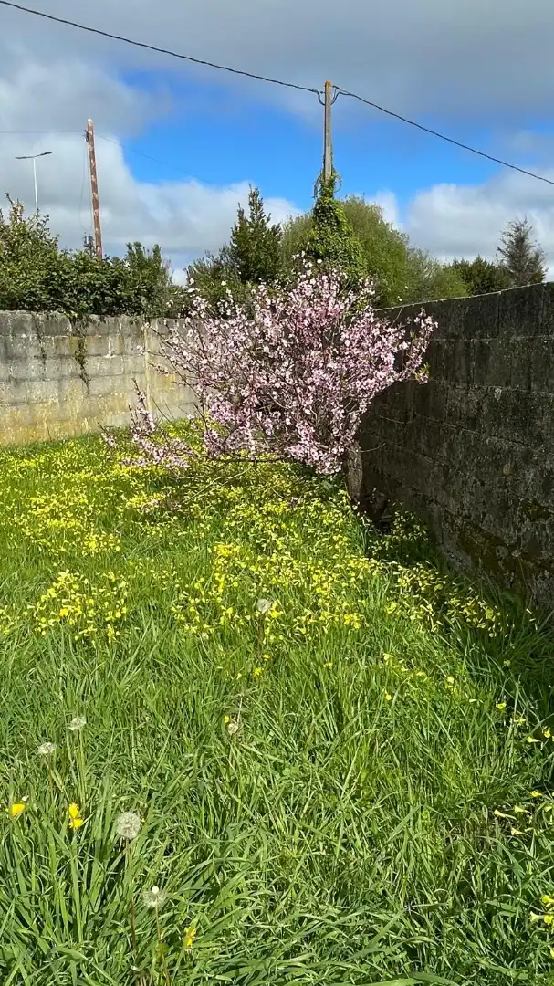 Jardí de Casa o xalet en venda en Ferrol amb Jardí privat, Parquet i Traster