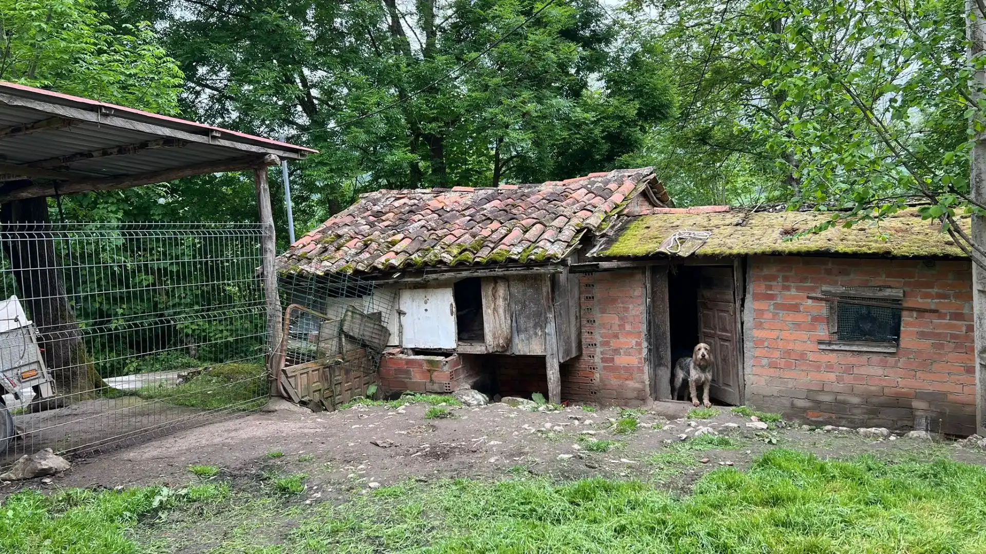 Vista exterior de Casa o chalet en venta en Parres con Jardín privado