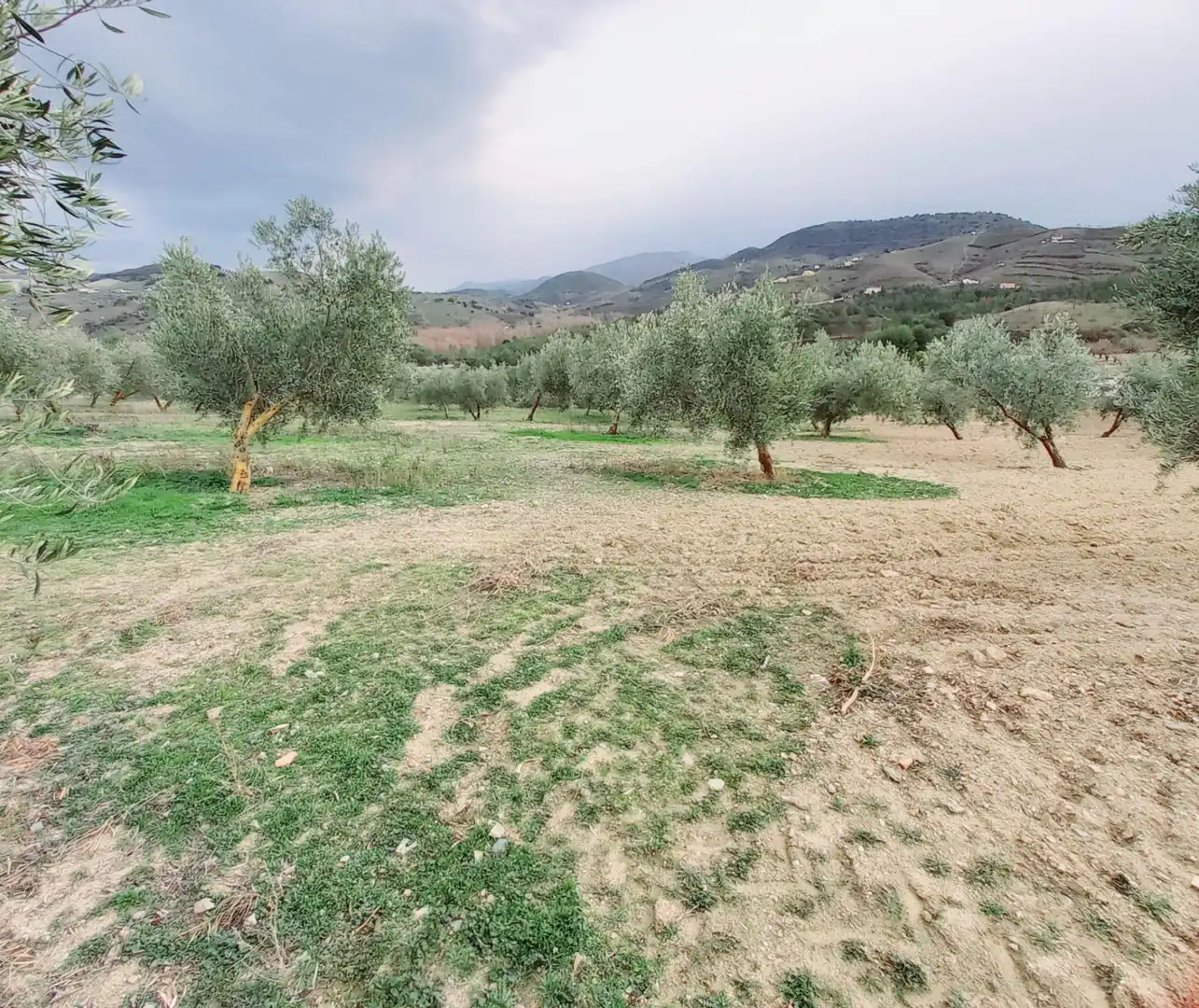 Terreni e lotti in vendita a Alhama de Granada, imagen 13