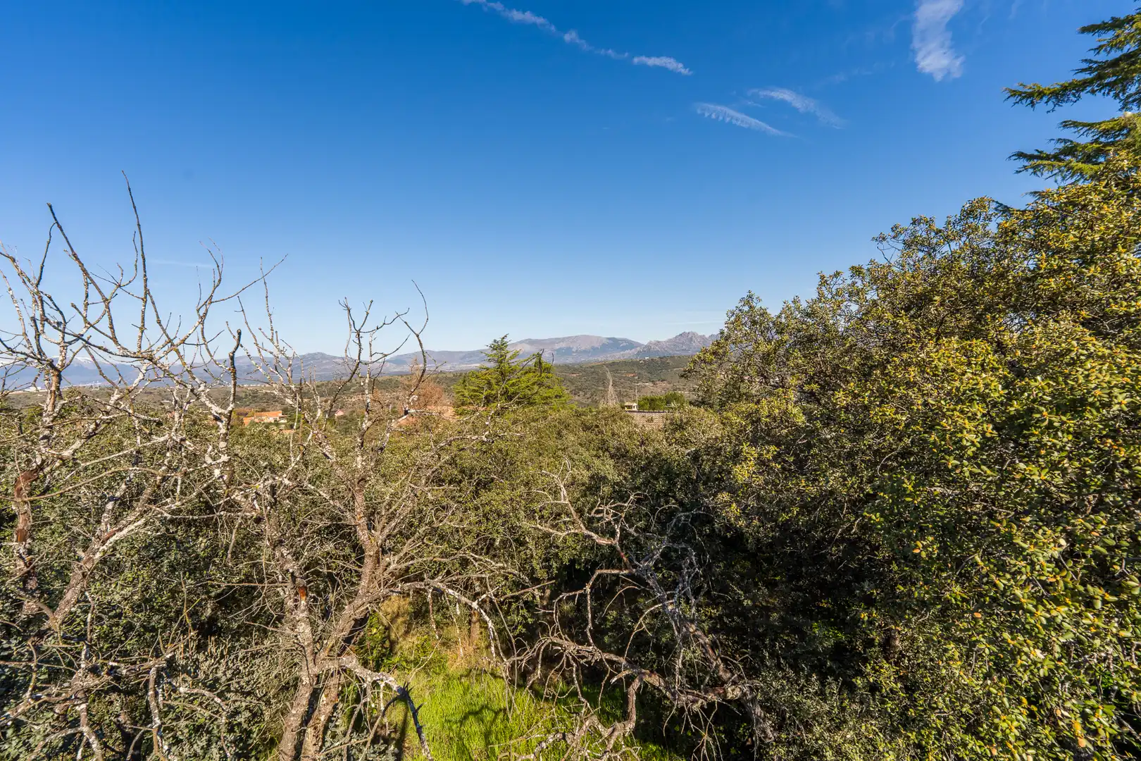 Residencial en venta en Venturada