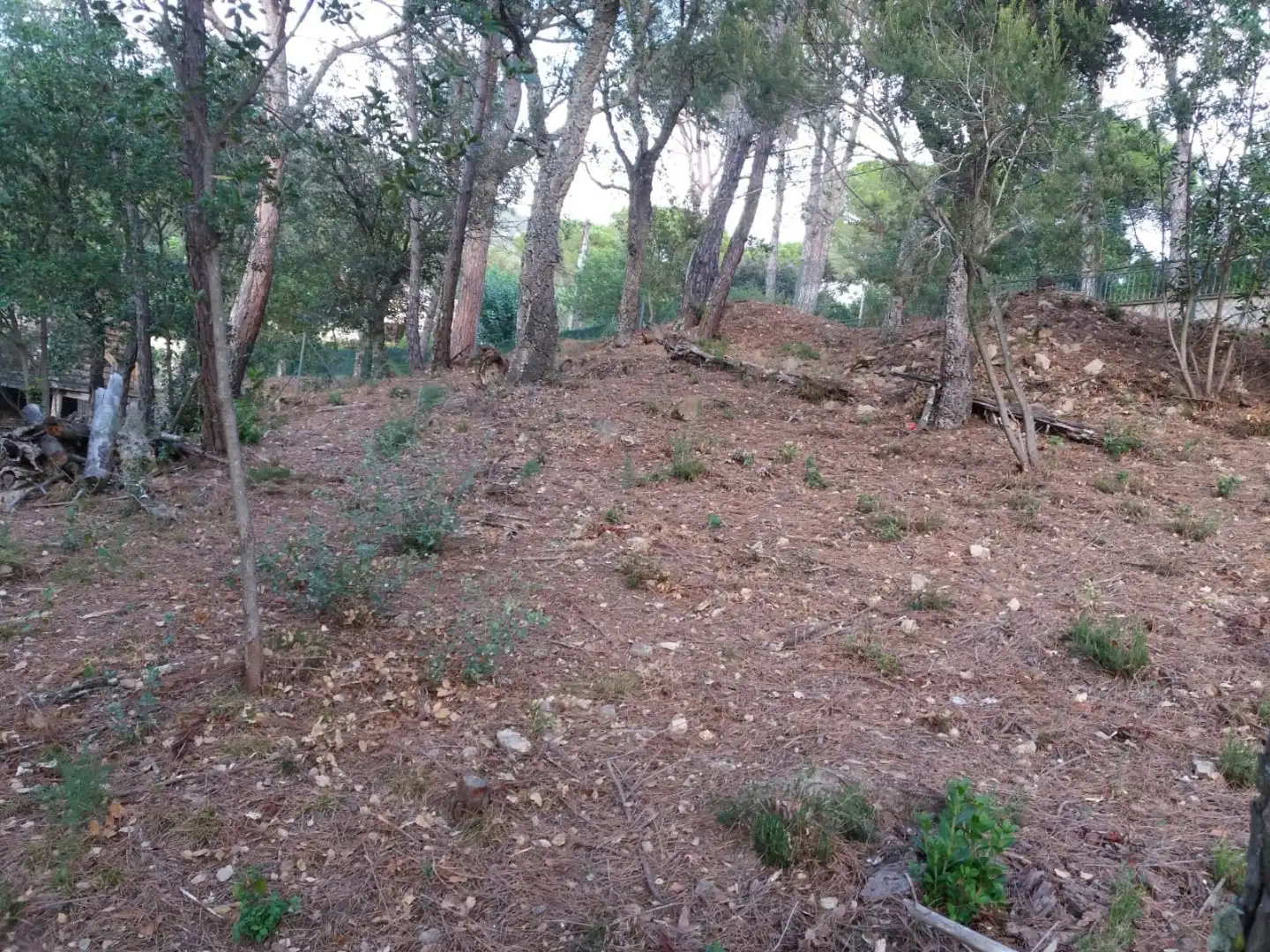Terreno residencial en venta en Avinguda del Bell-lloc, imagen 2