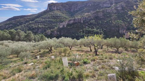 Finca Rúst. en venta en Senia La., imatge 3