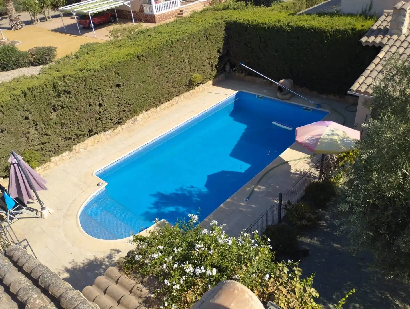 Swimming pool of Country homes for sale in Lorca