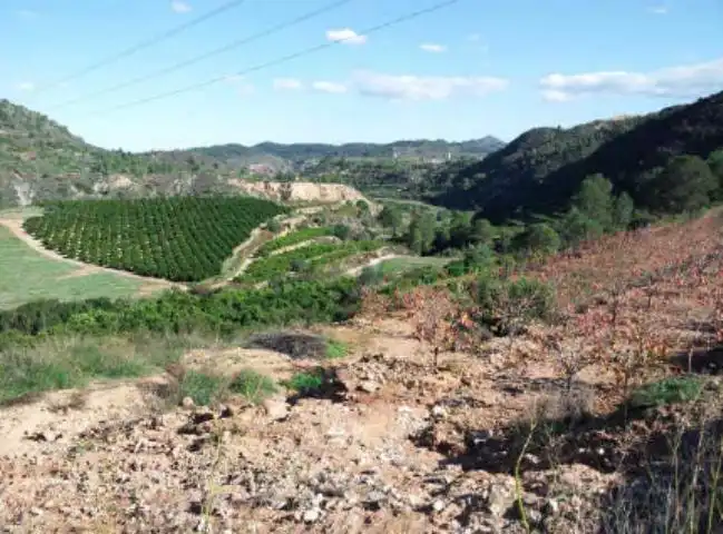 Terreny residencial en venda a Olivares, imagen 2