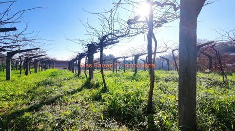 REF 2119 SOLAR 883 m2 LLANO ,ALTO Y SOLEADO CERCANO CONCELLO MOS, immagine 4