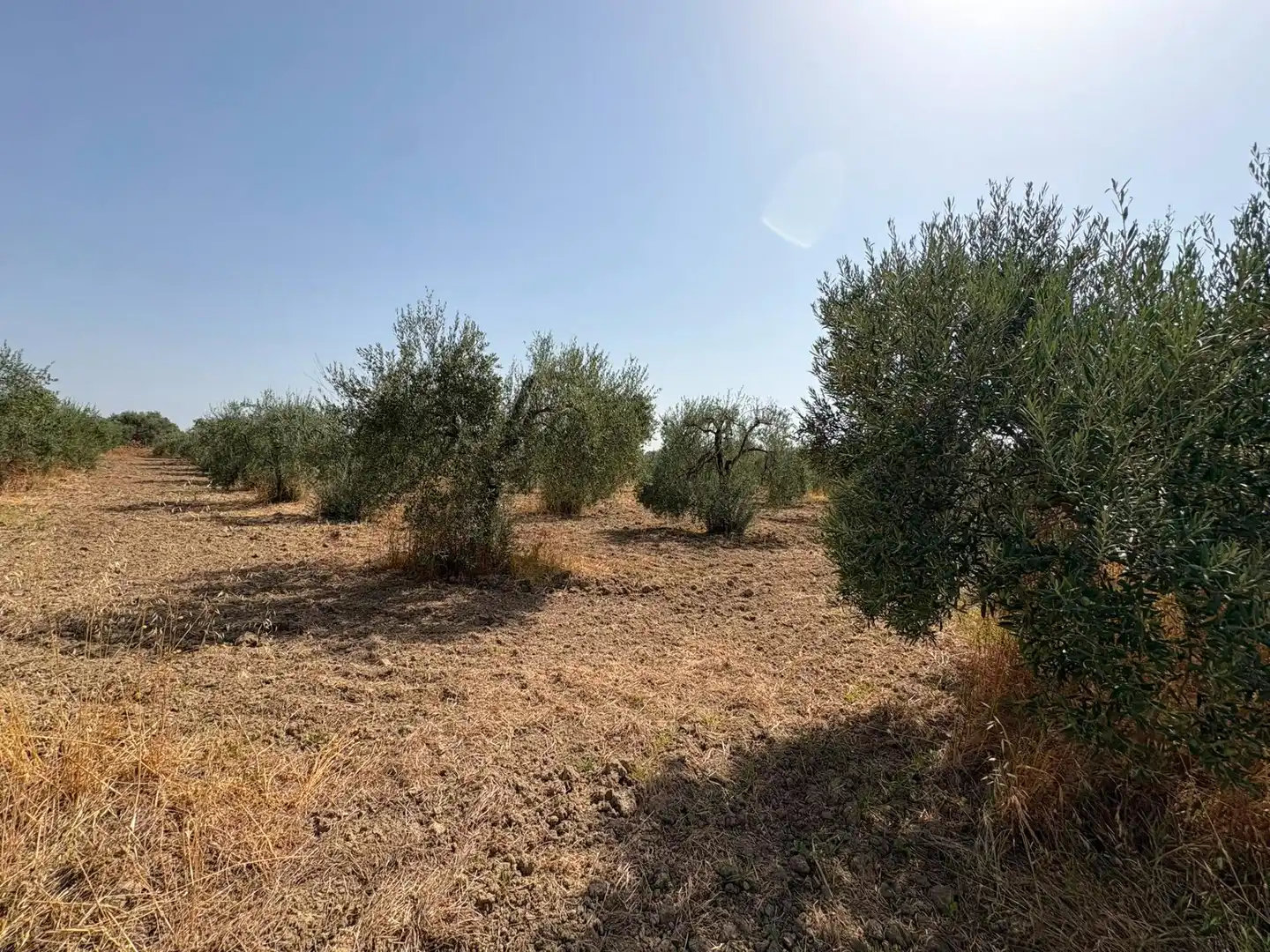 Terreno en venta en Espartinas
