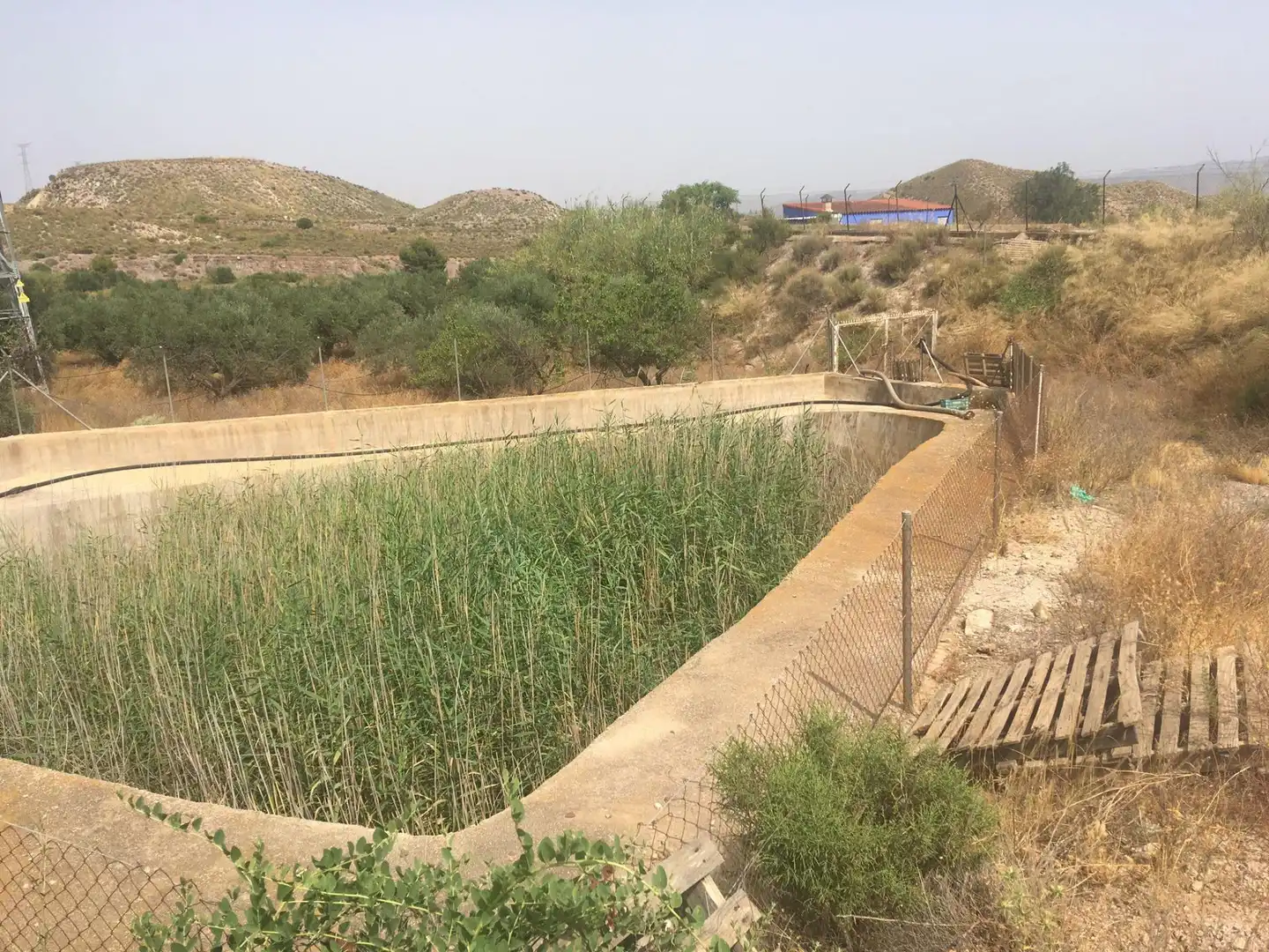 Schwimmbecken von Country house zum Verkauf in Lorca mit Privatgarten und Schwimmbad