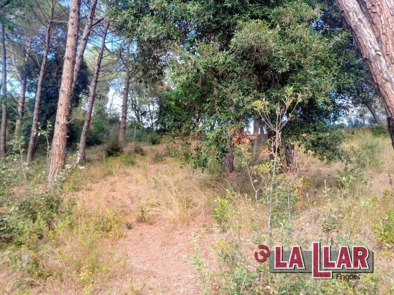 Terreny residencial en venda a Vallromanes, imagen 4