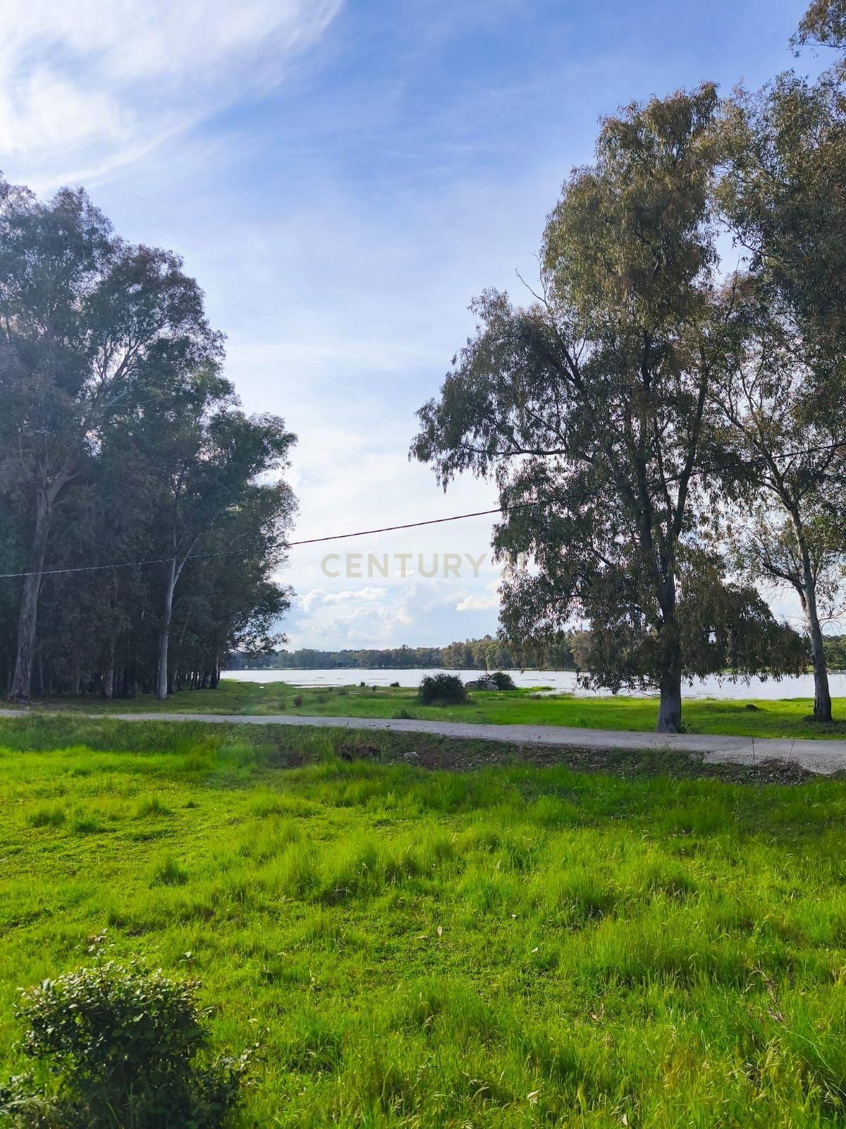 Land for sale in Torreorgaz