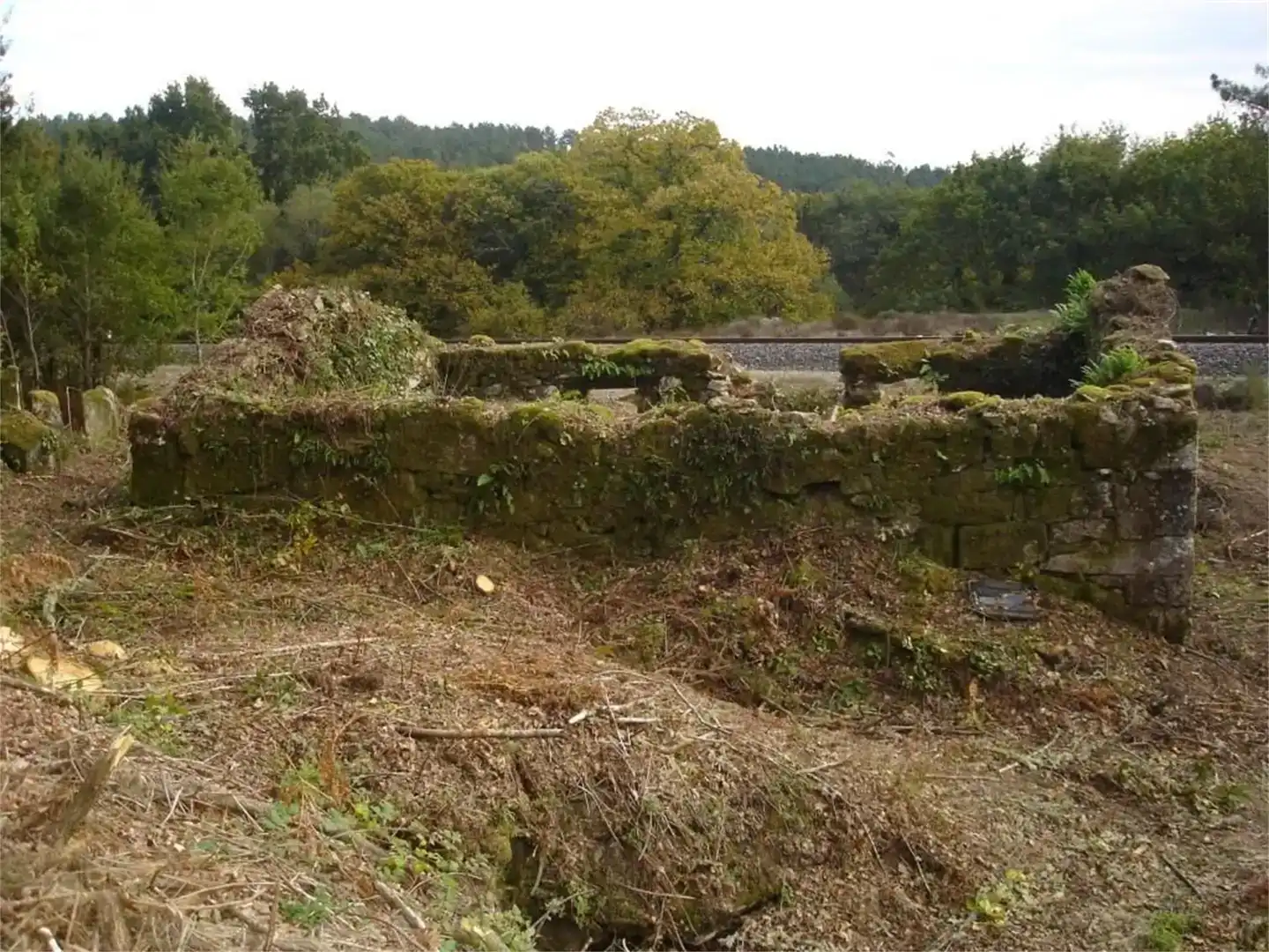 Exterior view of Residential for sale in Boborás, Ourense