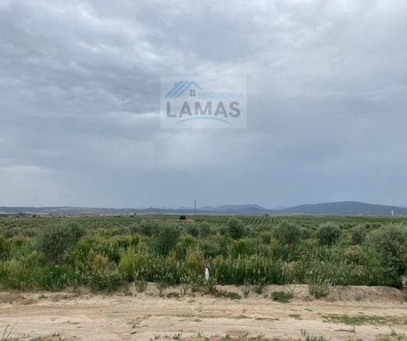 Terreno en Venta en Saucedilla