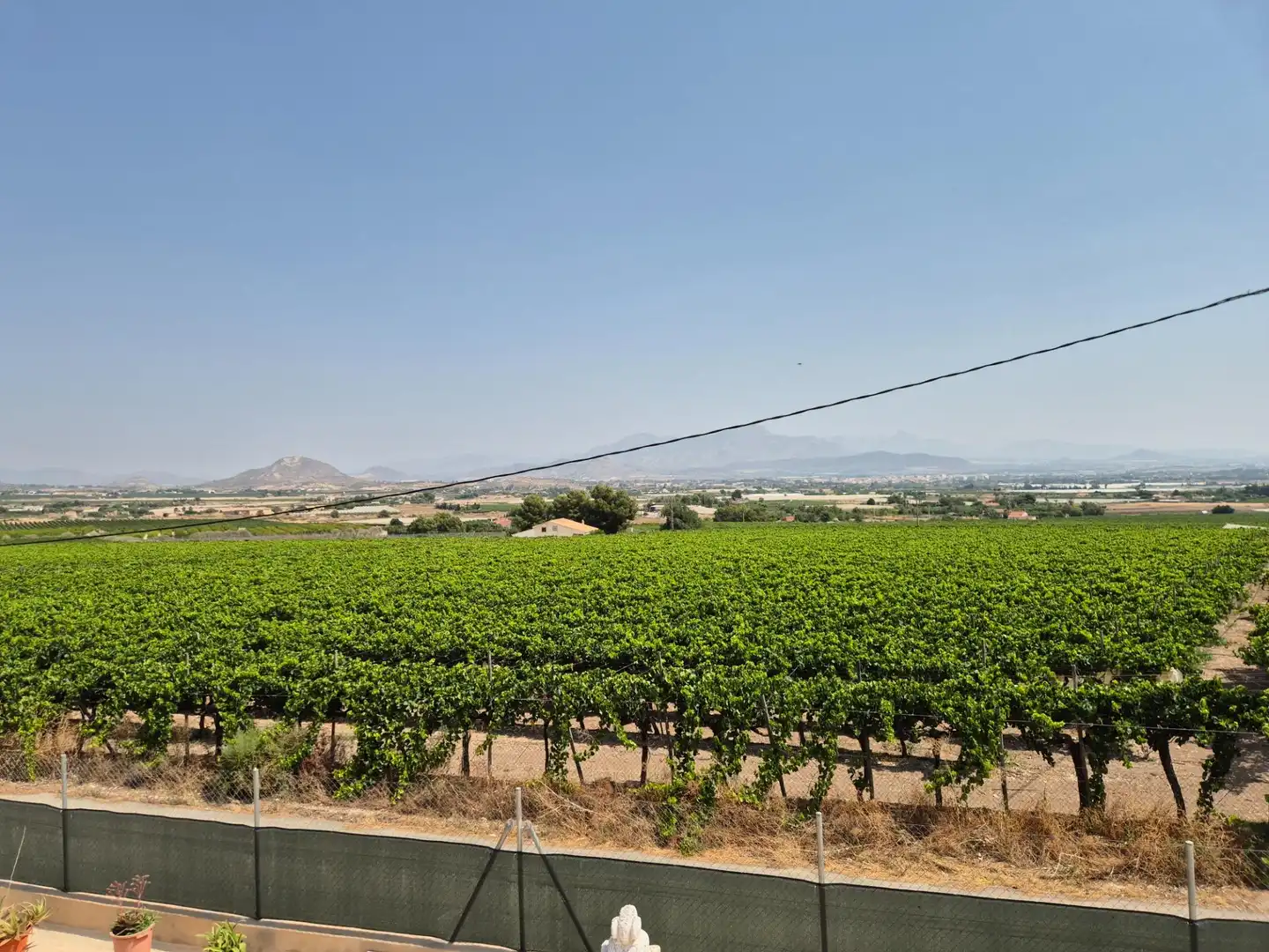 Vista exterior de Casa o chalet en venta en Aspe con Aire acondicionado, Calefacción y Jardín privado