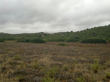 Terreno rustico in vendita a Pelagatos - Pago del Humo