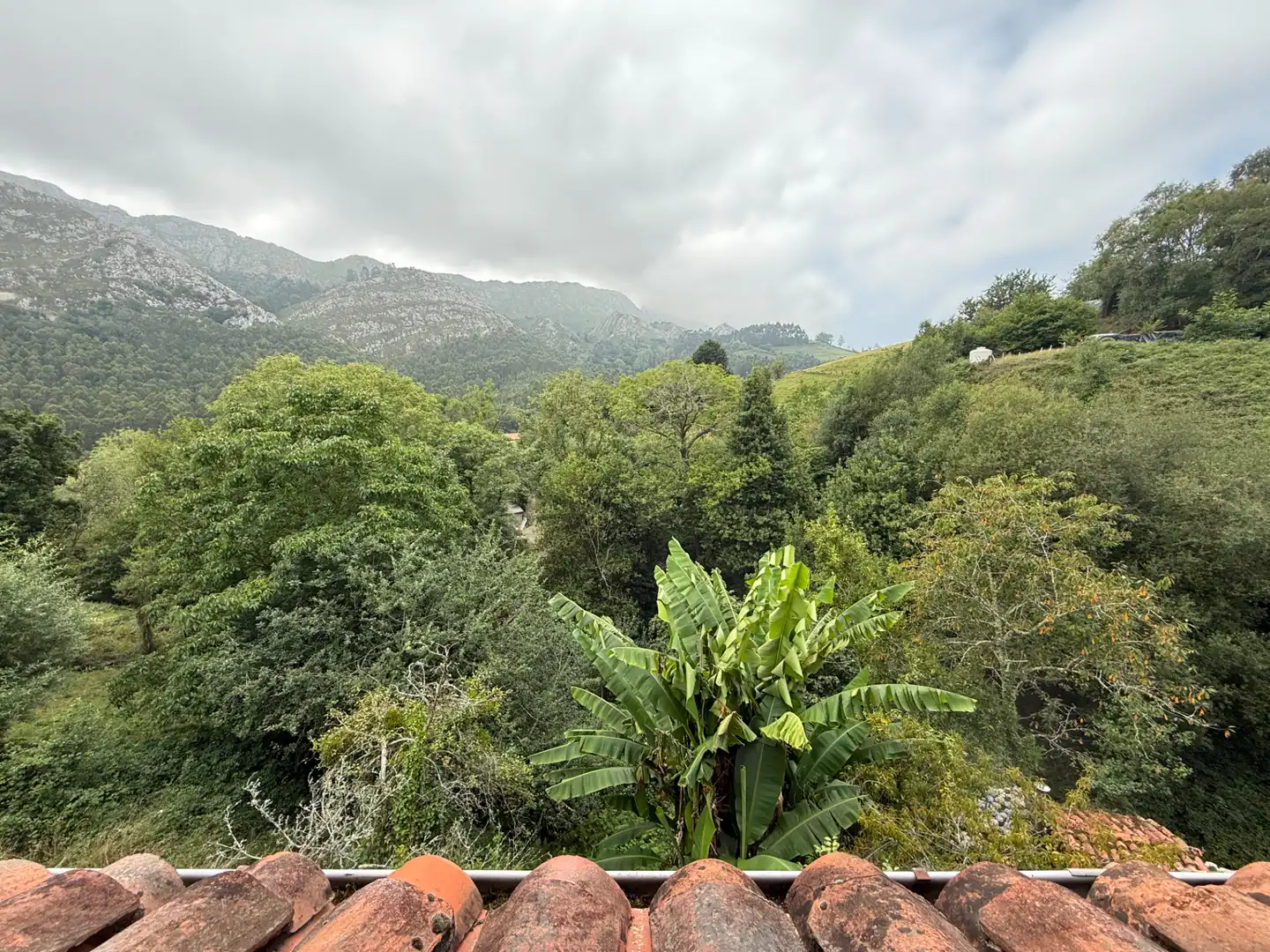 Vista exterior de Casa o xalet en venda en Ribadesella amb Calefacció, Jardí privat i Parquet