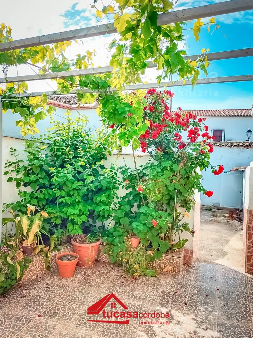 Maison à vendre à Fuente Obejuna, imagen 24