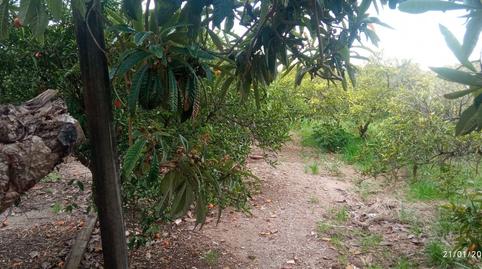 Foto 3 de Finca rústica en venda a Carnicers (ptda. la Torre), Camino de Onda - Salesianos, Burriana / Borriana