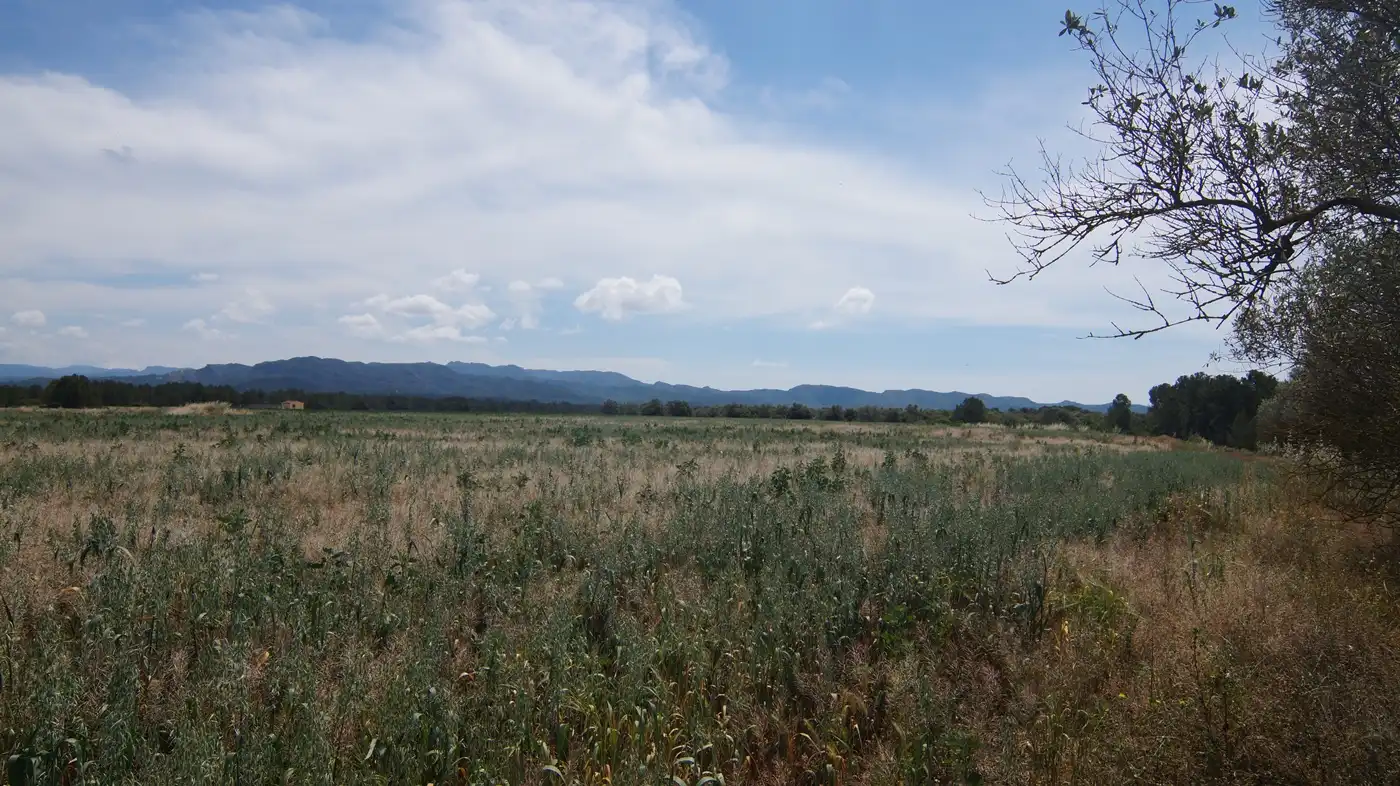 Terreno en venta en Ginestar