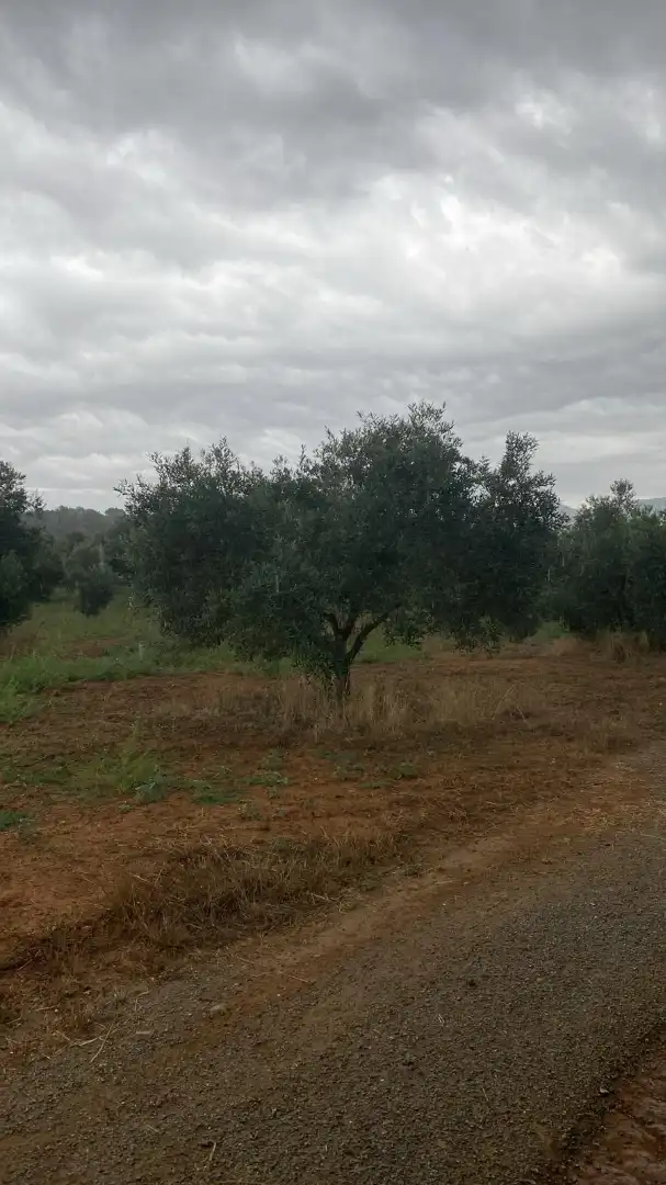 Terreny rústic en venda a La Bisbal d'Empordà, imagen 2