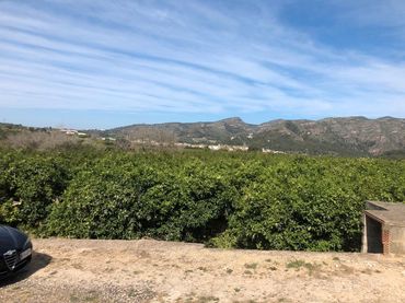Terreny rústic en venda a Llocnou de Sant Jeroni