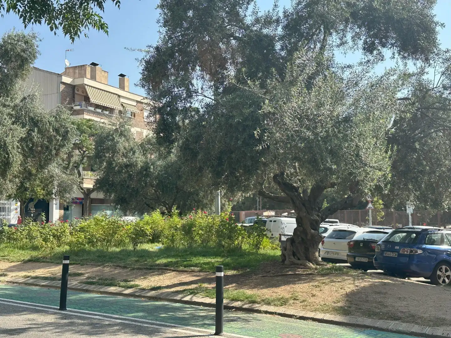 Business premises for sale in Ponent, imagen 11