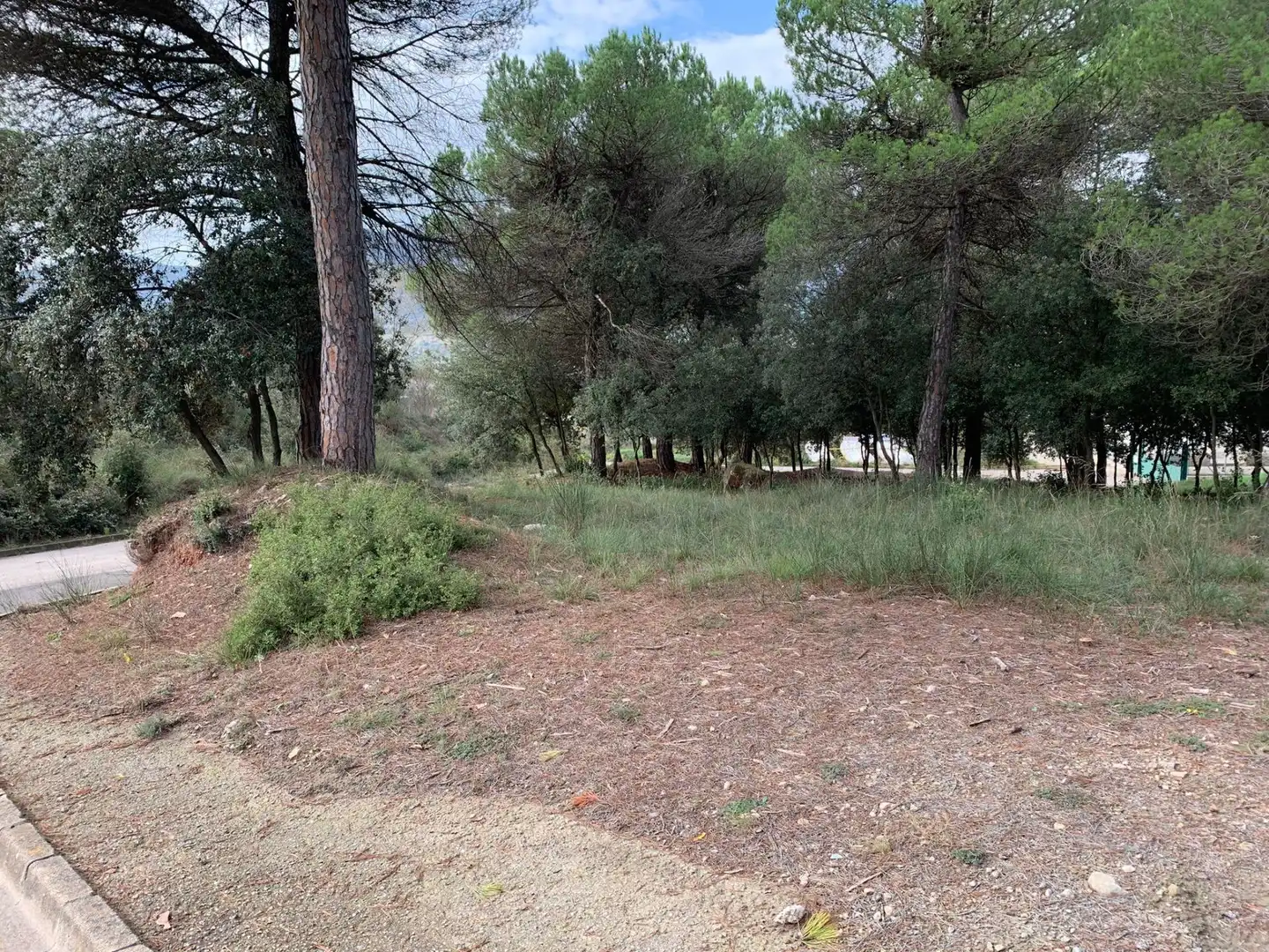 Lands and plots for sale in Carrer Carrer de Can Garriga, imagen 3