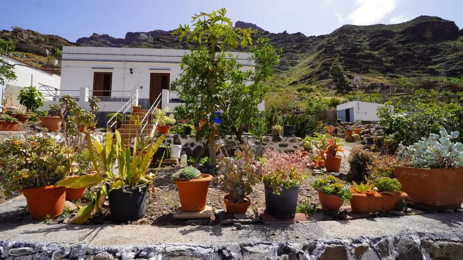 Jardín de Casa o chalet en venta en Mogán con Jardín privado, Terraza y Trastero
