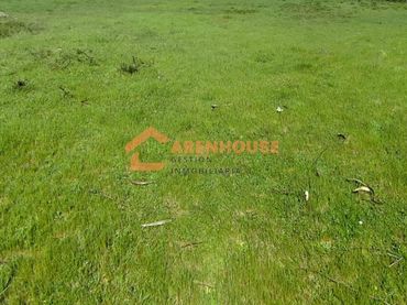 Lands and plots for sale in Baños de Molgas
