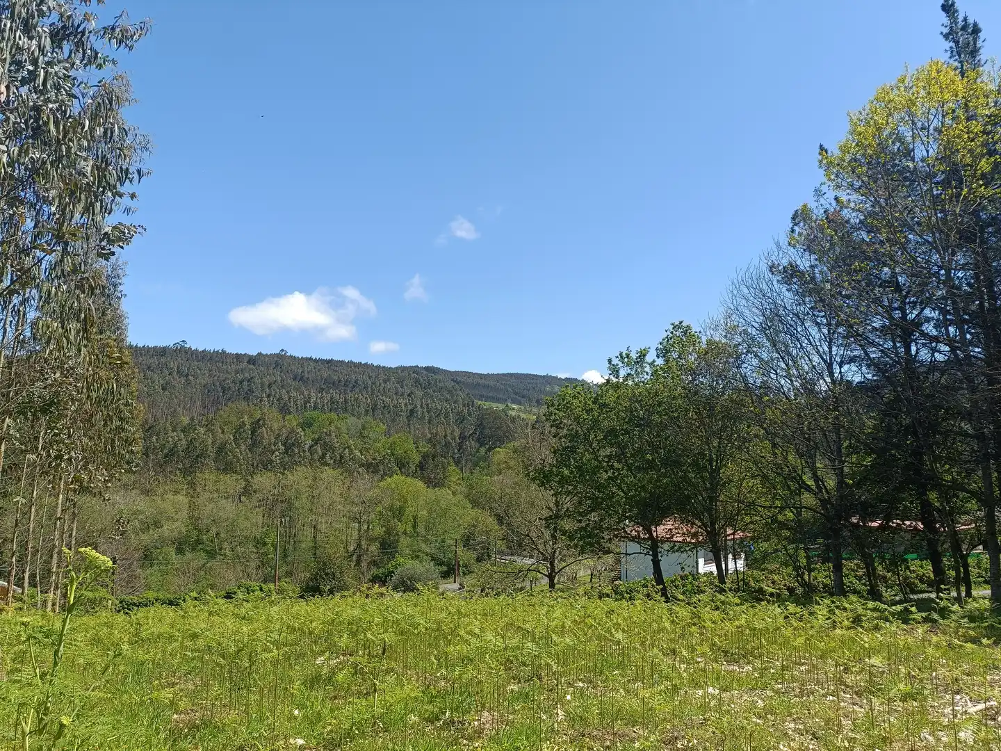 Terreni e lotti in vendita a Burricios, imagen 6
