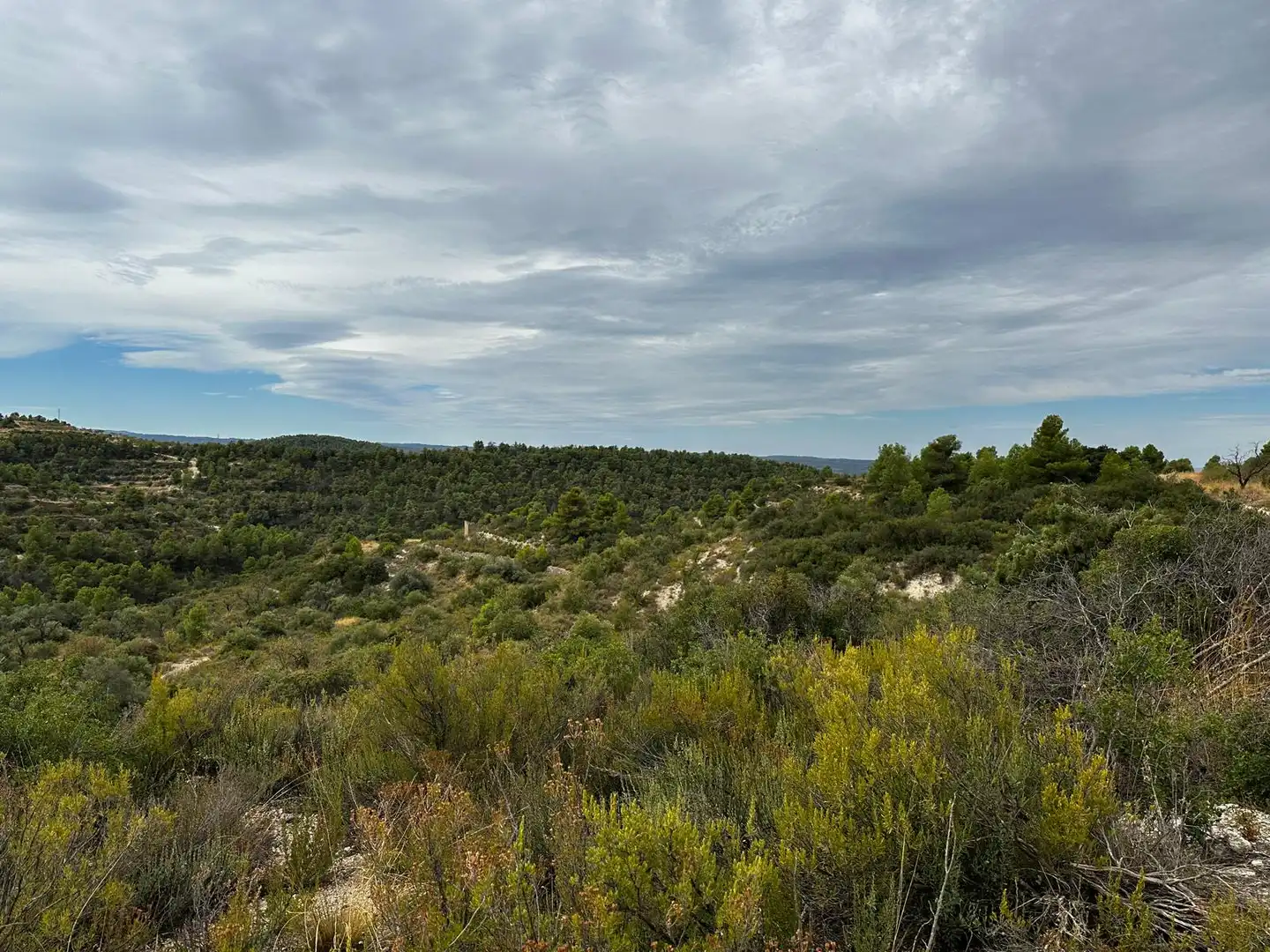 Terreny rústic en venda a Cervià de Les Garrigues
