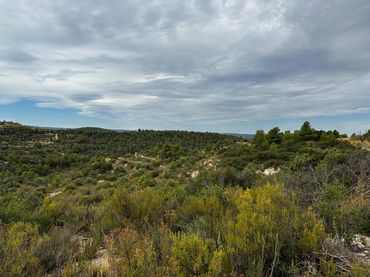 Terreny rústic en venda a Cervià de Les Garrigues