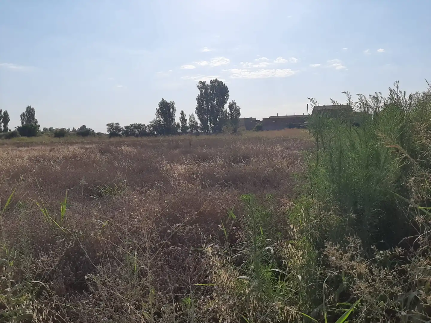 Terreny rústic en venda a Ivars d'Urgell, imagen 5